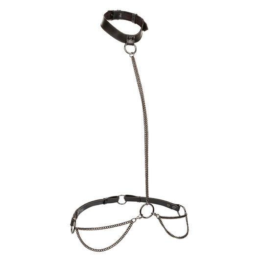 "Euphoria Collection Plus Size Chain Halter/collar and Leash - Black SE3101013"